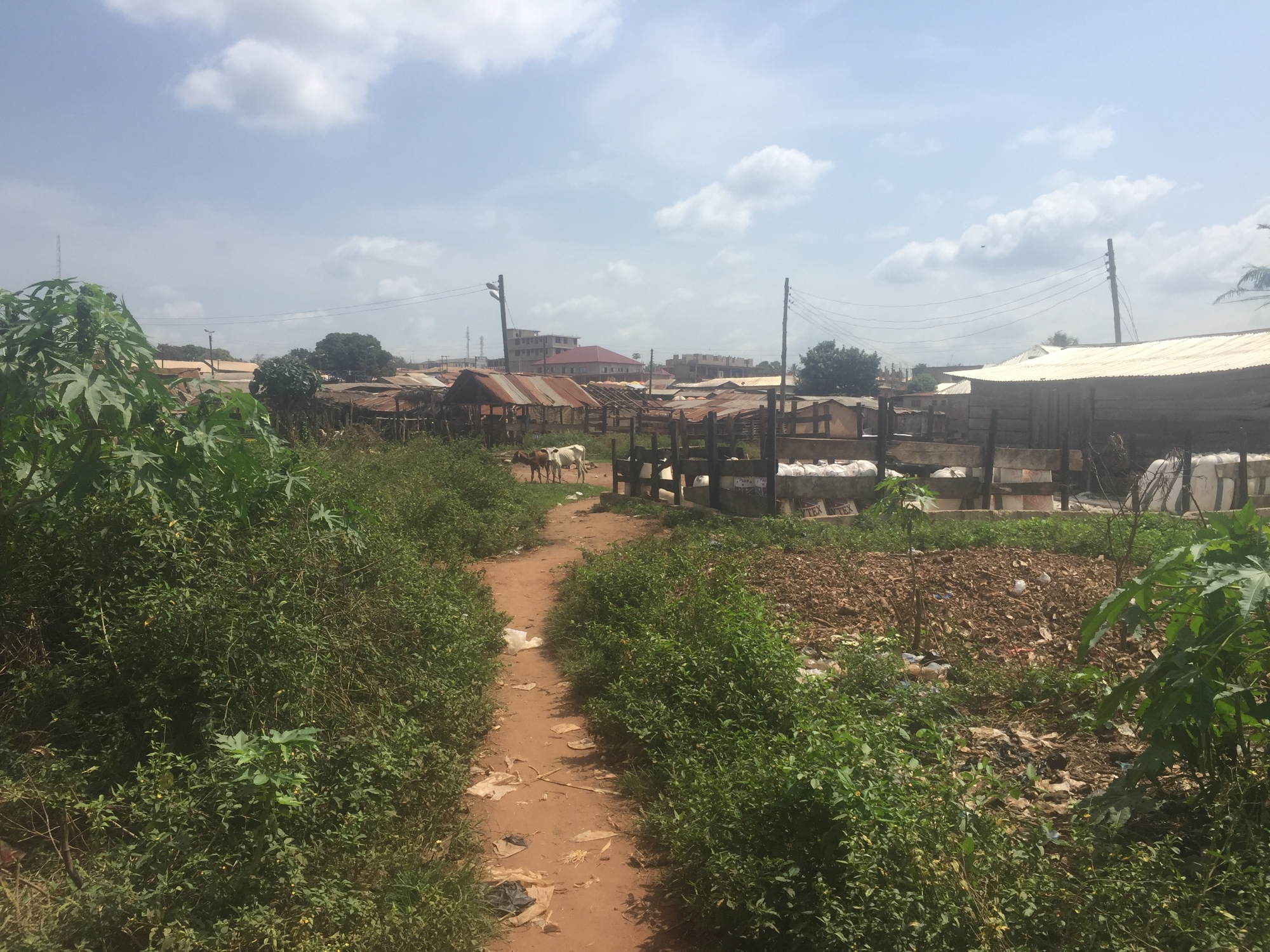 Image of greenspace and village in the backround