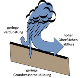 Bild4
