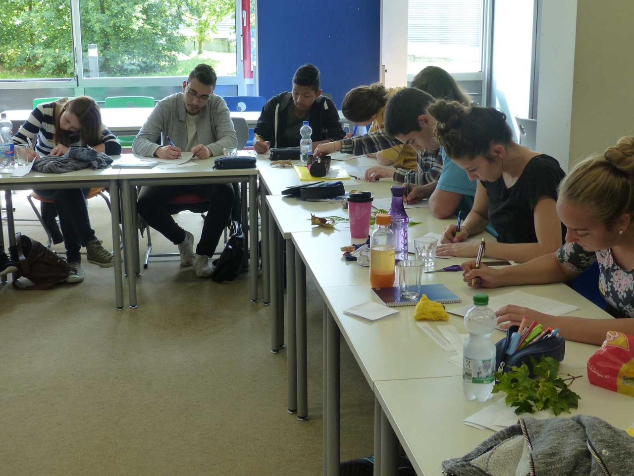 Bild_3