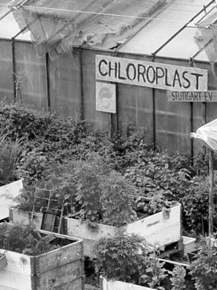 1718_ilpoe_Chloroplast eV