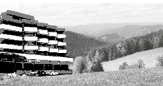 Schönwald_preview